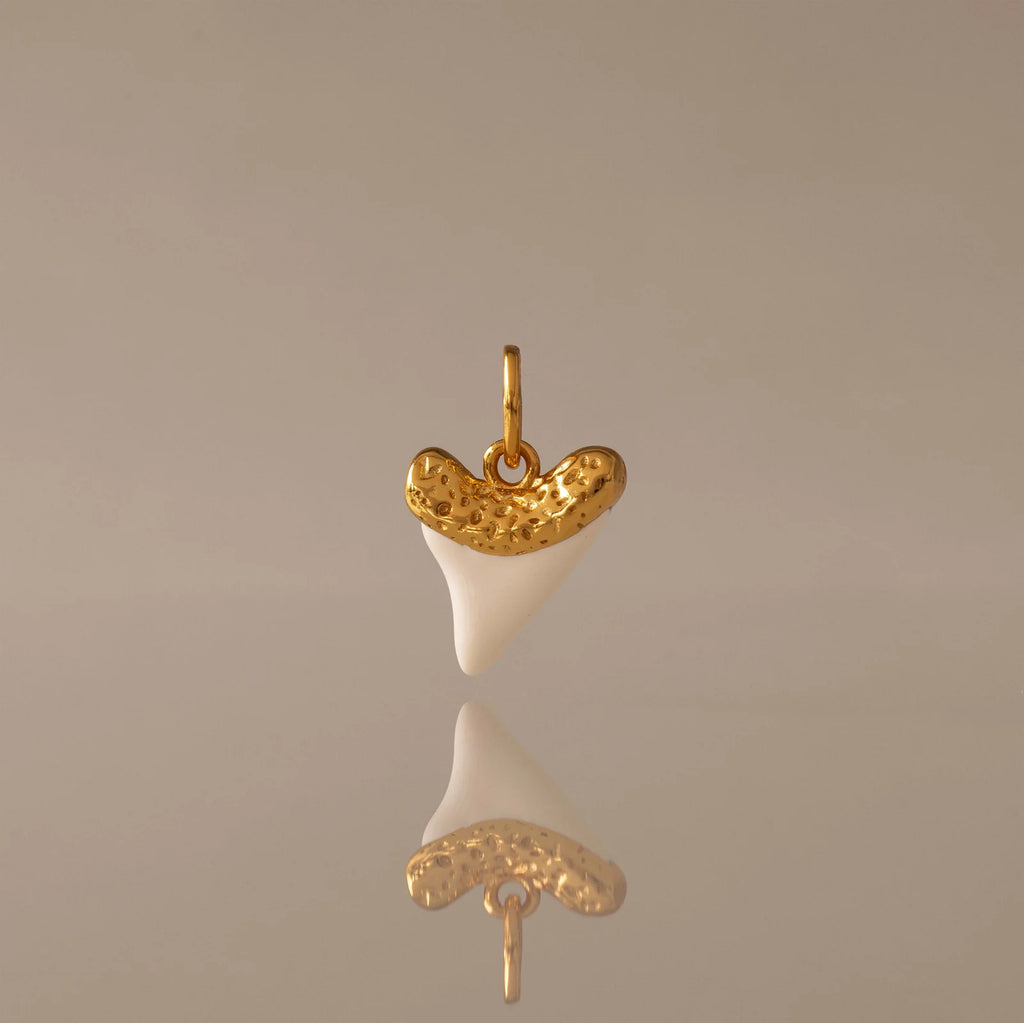 White Shark Tooth Charm