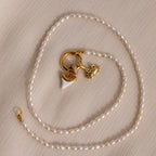 White Shark Tooth Charm